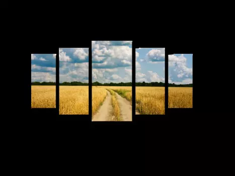 Модульная картина Picsis