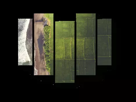 Модульная картина Picsis