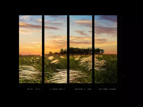 Модульная картина Picsis