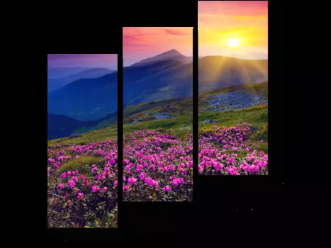 Модульная картина Picsis