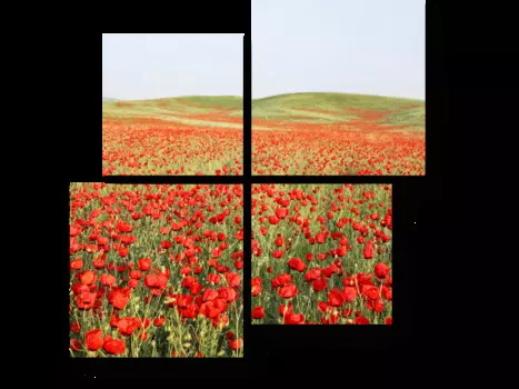 Модульная картина Picsis