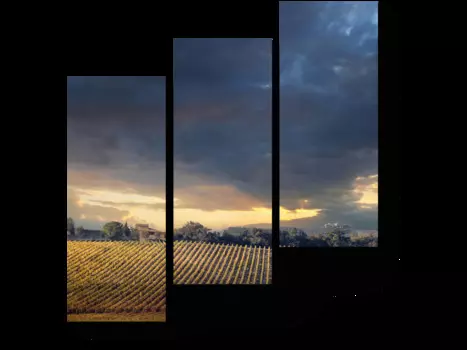 Модульная картина Picsis