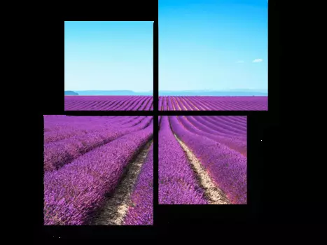 Модульная картина Picsis