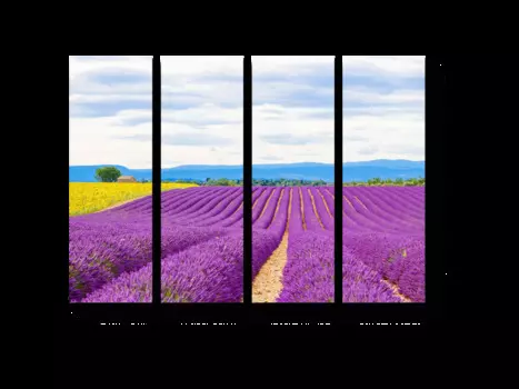 Модульная картина Picsis