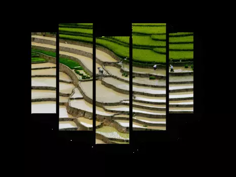 Модульная картина Picsis