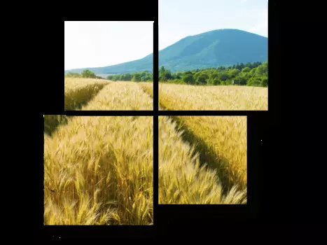 Модульная картина Picsis