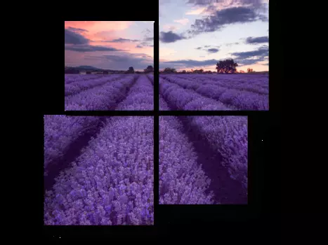 Модульная картина Picsis