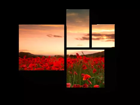 Модульная картина Picsis