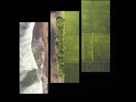 Модульная картина Picsis