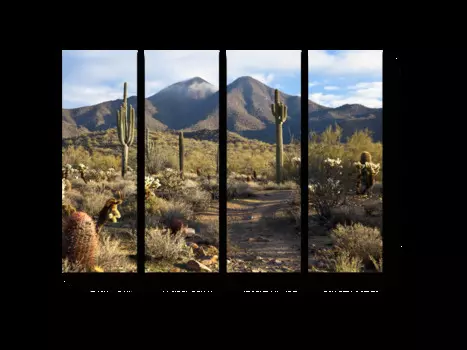 Модульная картина Picsis