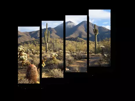 Модульная картина Picsis