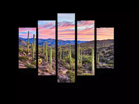 Модульная картина Picsis