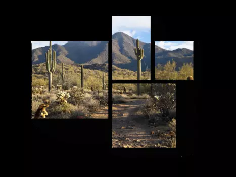 Модульная картина Picsis