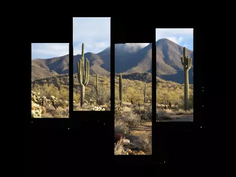 Модульная картина Picsis