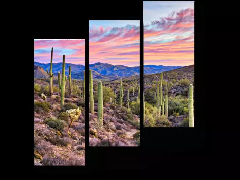 Модульная картина Picsis