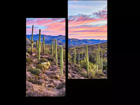 Модульная картина Picsis