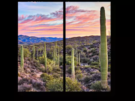 Модульная картина Picsis