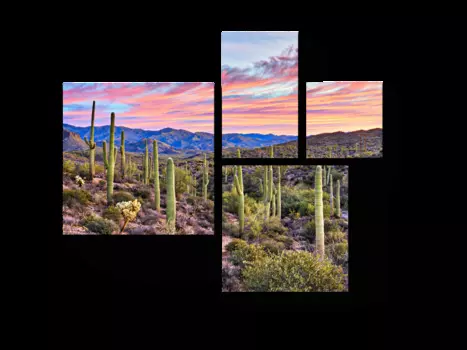 Модульная картина Picsis