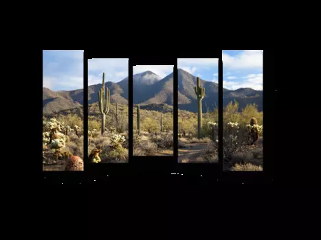 Модульная картина Picsis