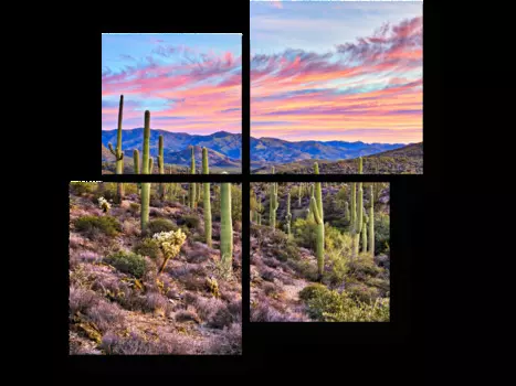 Модульная картина Picsis