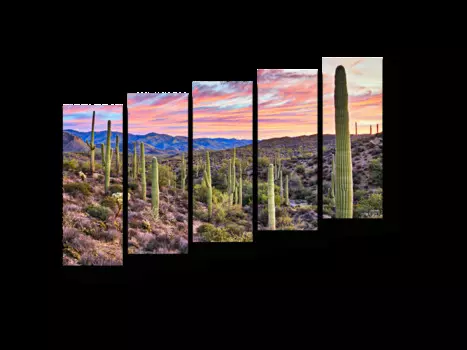 Модульная картина Picsis