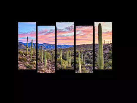 Модульная картина Picsis