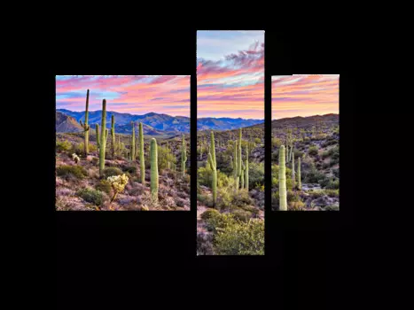 Модульная картина Picsis