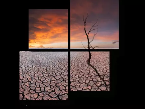 Модульная картина Picsis