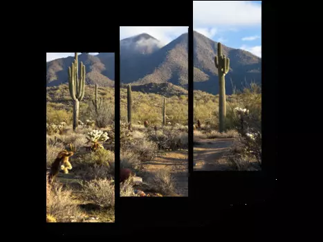 Модульная картина Picsis