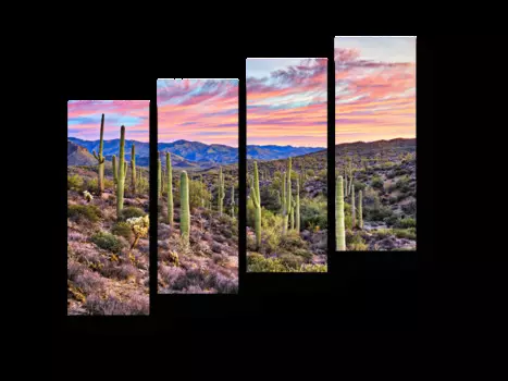 Модульная картина Picsis