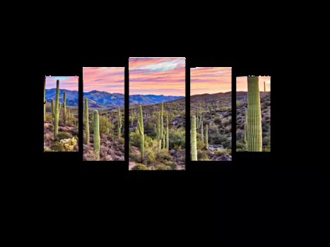 Модульная картина Picsis