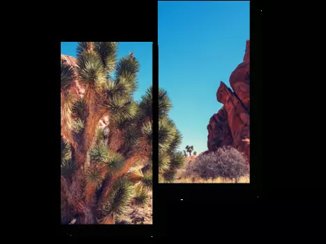 Модульная картина Picsis