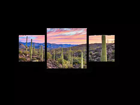 Модульная картина Picsis