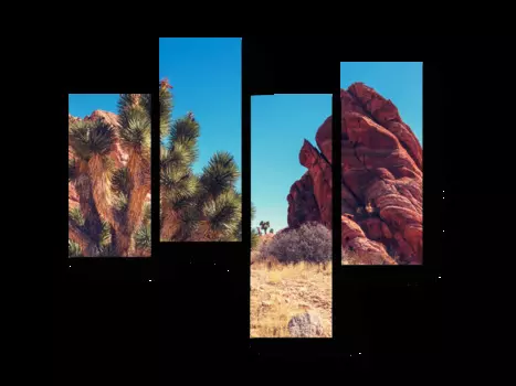 Модульная картина Picsis