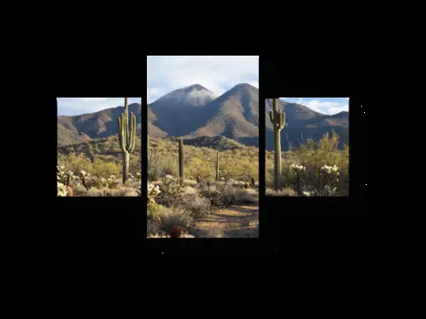 Модульная картина Picsis