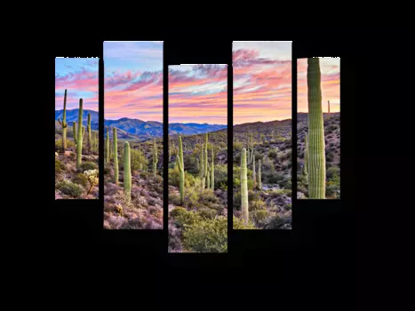 Модульная картина Picsis