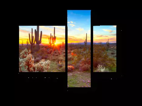 Модульная картина Picsis