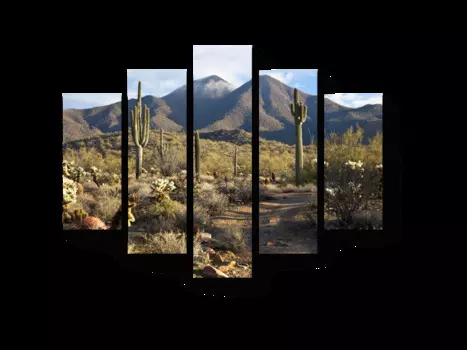 Модульная картина Picsis