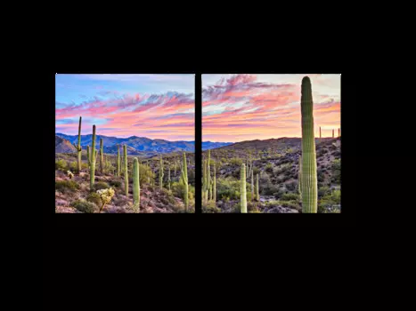 Модульная картина Picsis