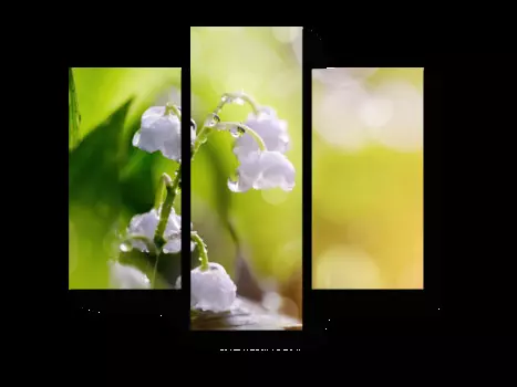 Модульная картина Picsis