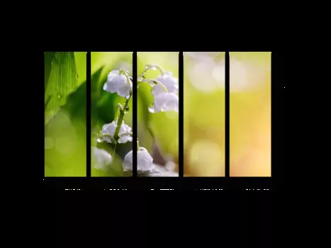 Модульная картина Picsis