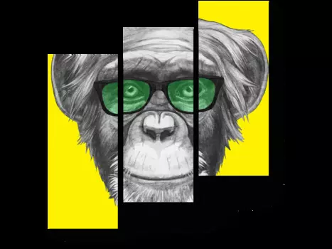 Модульная картина Picsis