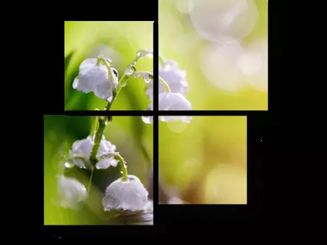 Модульная картина Picsis