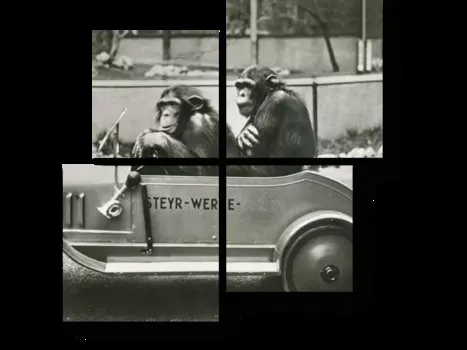 Модульная картина Picsis