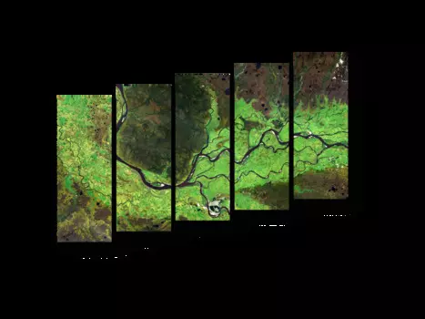 Модульная картина Picsis