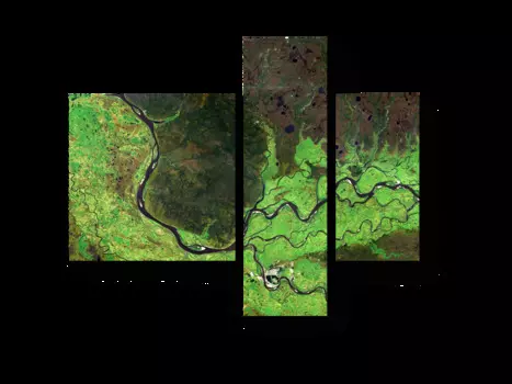 Модульная картина Picsis