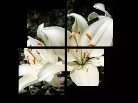 Модульная картина Picsis