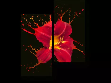 Модульная картина Picsis