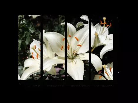 Модульная картина Picsis