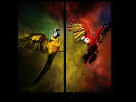 Модульная картина Picsis